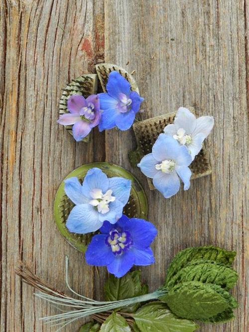 BELLA DELPHINIUM 2- 3 ASSORTED COLORS